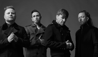 shinedown 391