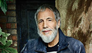 yusuf cat stevens 391